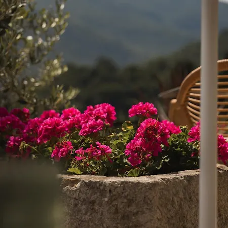 Miomio Hotel Tignale